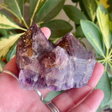 Local Amethyst Cluster - 2025