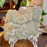 Natural Pyrite Speckled Quartz in Matrix Slab- Bancroft Ontario