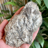 Plumose Lithium Muscovite - Ear Falls