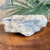 Blue Kyanite Specimen