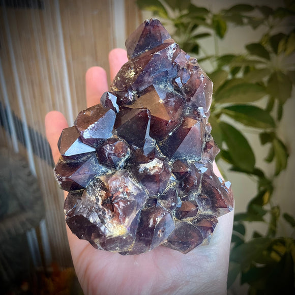Local Amethyst Cluster - 2025