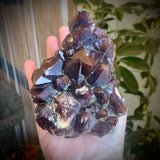 Local Amethyst Cluster - 2025