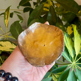 Tan Mushroom Incense Burner