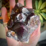 Local Amethyst Cluster - 2025