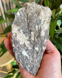 Plumose Lithium Muscovite - Ear Falls
