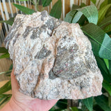Plumose Lithium Muscovite - Ear Falls