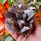 Local Amethyst Cluster - 2025