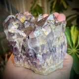 Local Amethyst Cluster - 2025
