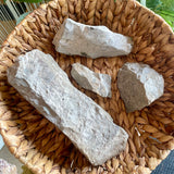 Niagara Fossil