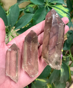 Raw Lemurian Smoky Quartz