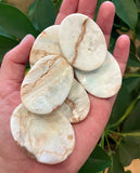 Worry Stone