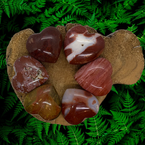 Red Petrified Wood