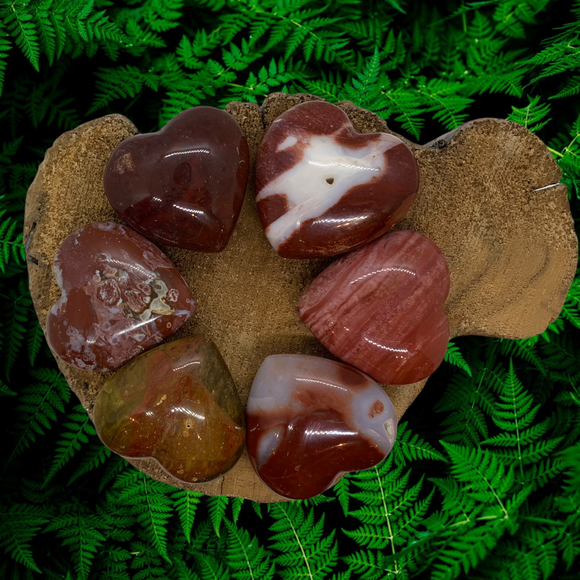 Red Petrified Wood