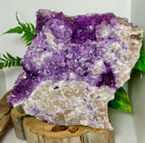 Local Amethyst Cluster