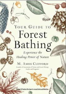 Your Guide To Forest Bathing