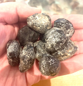 Apache Tear Obsidian Tumble Stone SMALL