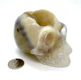 Agate Skull Geode