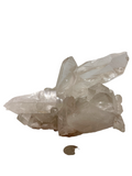 Quartz Cluster