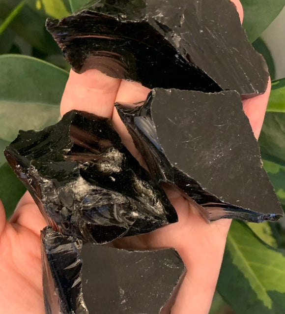 Black Obsidian Chip