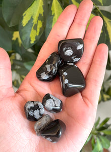 Snowflake Obsidian Tumble Stone