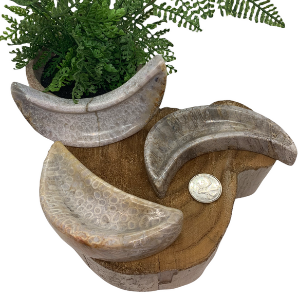 Coral Crescent Moon Dish