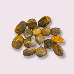 Bumblebee Jasper Tumble