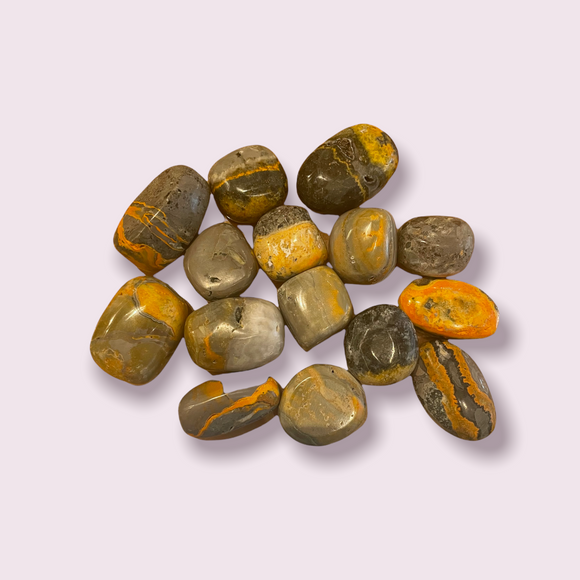 Bumblebee Jasper Tumble