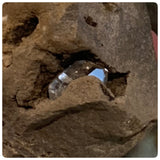 Herkimer Diamonds in Dolomite