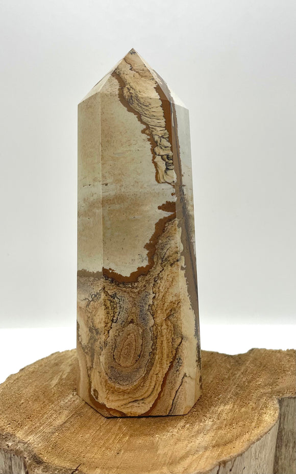 Picture Jasper Large Point