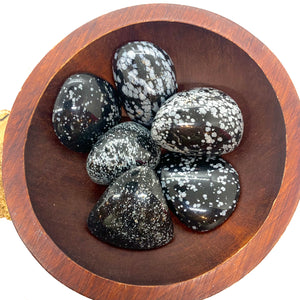 Snowflake Obsidian Palm