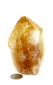 Citrine Top Polish