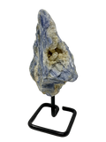 Blue Kyanite Raw Specimen