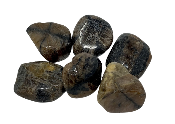 Chiastolite Tumble Stone Small