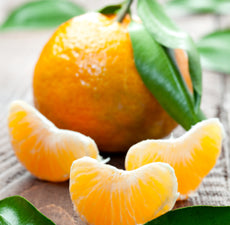 New Directions Tangerine Fragrance Oil 100ml
