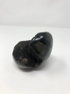 Black Septarian Geode