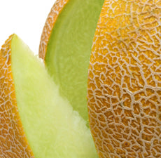 New Directions Honeydew Melon Fragrance Oil 100ml