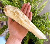 Raw Citrine Point